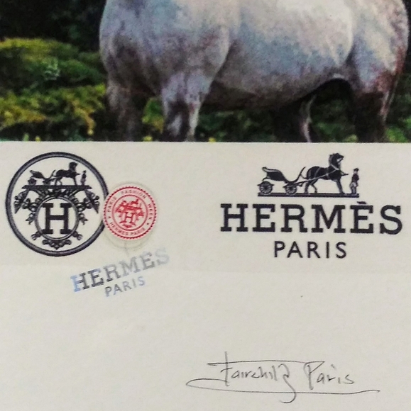 HERMÉS, Arabian Stallion Print, By Fairchild Paris - Picture 7 of 12